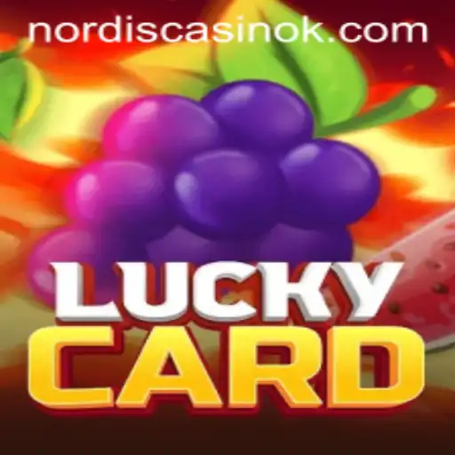 Exploring LuckyCard: Gameplay, Rules, and Strategic Insights